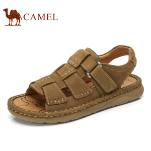 Camel/骆驼 A722372027.