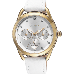 Citizen/西铁城 FD2059-16A