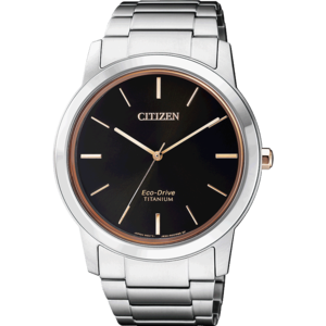 Citizen/西铁城 AW2024-81E