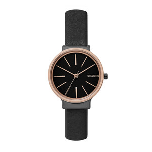 SKAGEN SKW2480