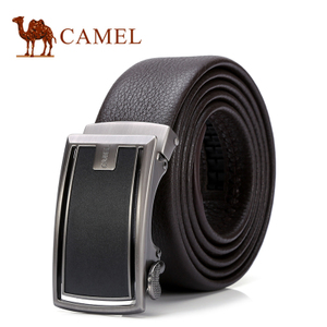 Camel/骆驼 DF193405-02