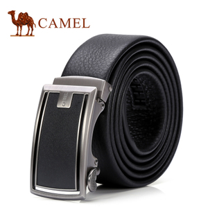 Camel/骆驼 DF193405-01