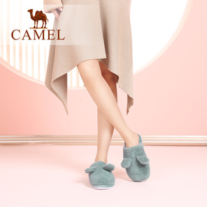 Camel/骆驼 A74226688