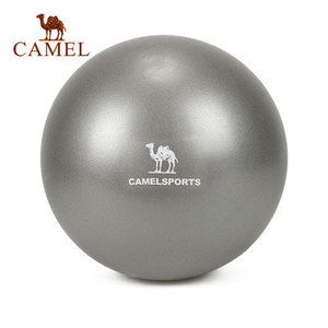 Camel/骆驼 A7S3D710825cm