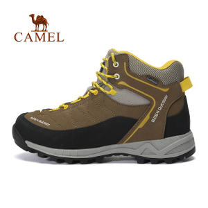 Camel/骆驼 Y642026065