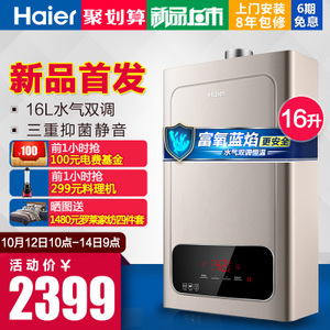 Haier/海尔 JSQ31-16WD5...