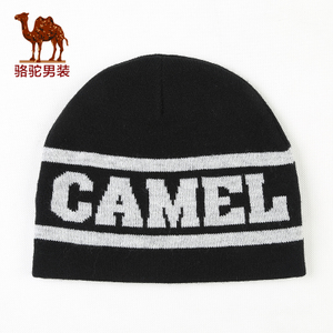 Camel/骆驼 D4W249302