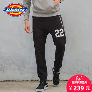 Dickies 173M30EC38