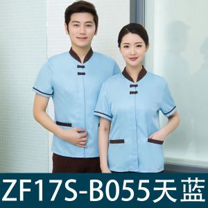 ZF17S-B055