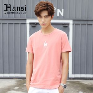 HANSI6716-2019