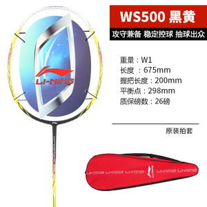 WINGSTORM-630-WS500