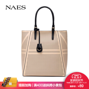 NAES LS01710004