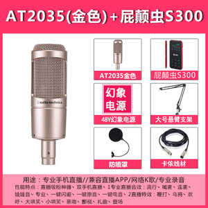 Audio Technica/铁三角 S300