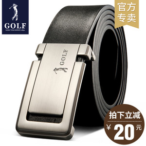 GOLF/高尔夫 P6GF87434Z