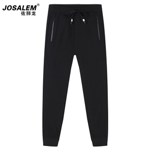 jOSALEm/佐狮龙 js3001