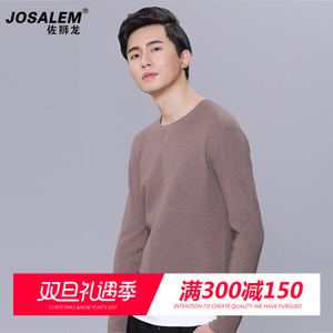 jOSALEm/佐狮龙 js8202