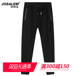 jOSALEm/佐狮龙 js8302