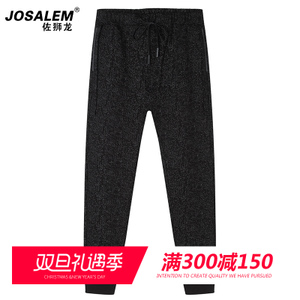 jOSALEm/佐狮龙 js8301