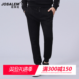 jOSALEm/佐狮龙 js8315