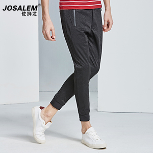 jOSALEm/佐狮龙 js3011