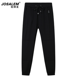 jOSALEm/佐狮龙 js3012