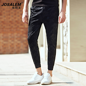 jOSALEm/佐狮龙 js3002