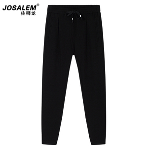 jOSALEm/佐狮龙 js3015