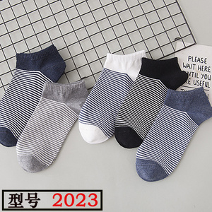 炫朵莎 2023