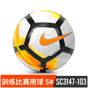 Nike/耐克 SC3147-103
