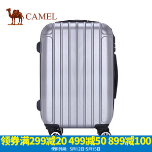 Camel/骆驼 MA264005