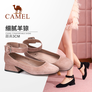 Camel/骆驼 A81072606