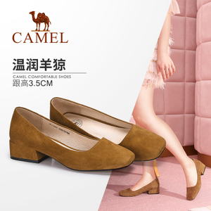 Camel/骆驼 A81072603