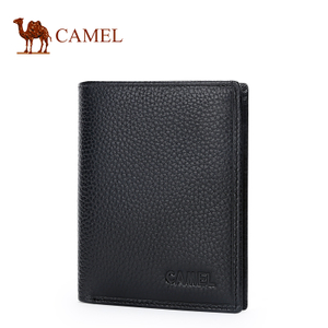 Camel/骆驼 MC239097-02
