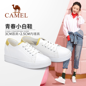 Camel/骆驼 A81517607