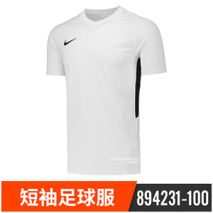 Nike/耐克 894231-100