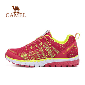Camel/骆驼 Y71303673