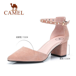 Camel/骆驼 A81008602