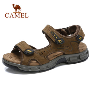 Camel/骆驼 A822307682