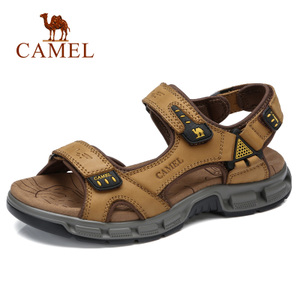 Camel/骆驼 A822307672