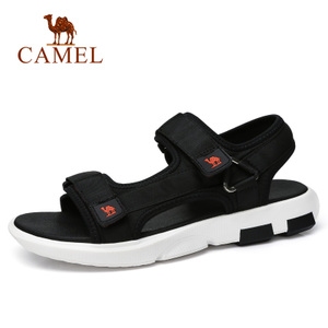 Camel/骆驼 A822309462