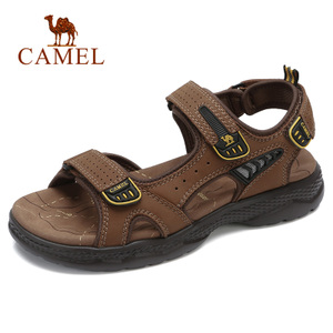 Camel/骆驼 A822344742