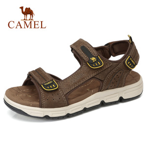 Camel/骆驼 A822344762