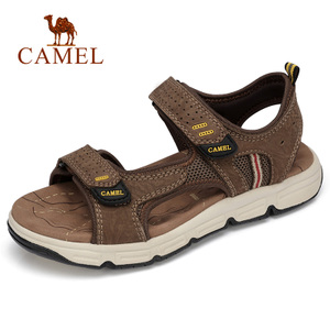 Camel/骆驼 A822344772