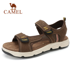 Camel/骆驼 A822344772