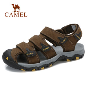 Camel/骆驼 A822396322