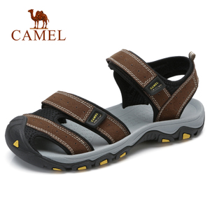 Camel/骆驼 A822396332