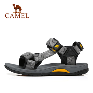 Camel/骆驼 A822162497