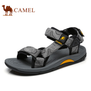 Camel/骆驼 A822162497