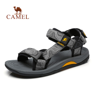 Camel/骆驼 A822162497