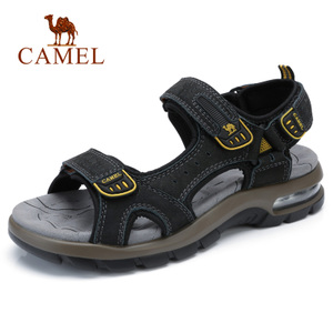 Camel/骆驼 A822344752